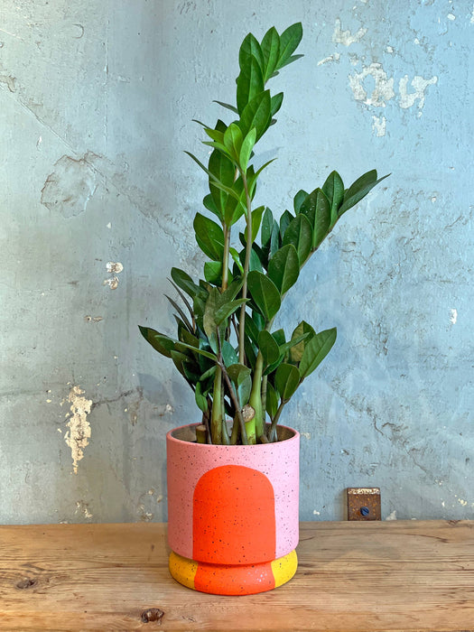 Portal Planters: The Geraldine
