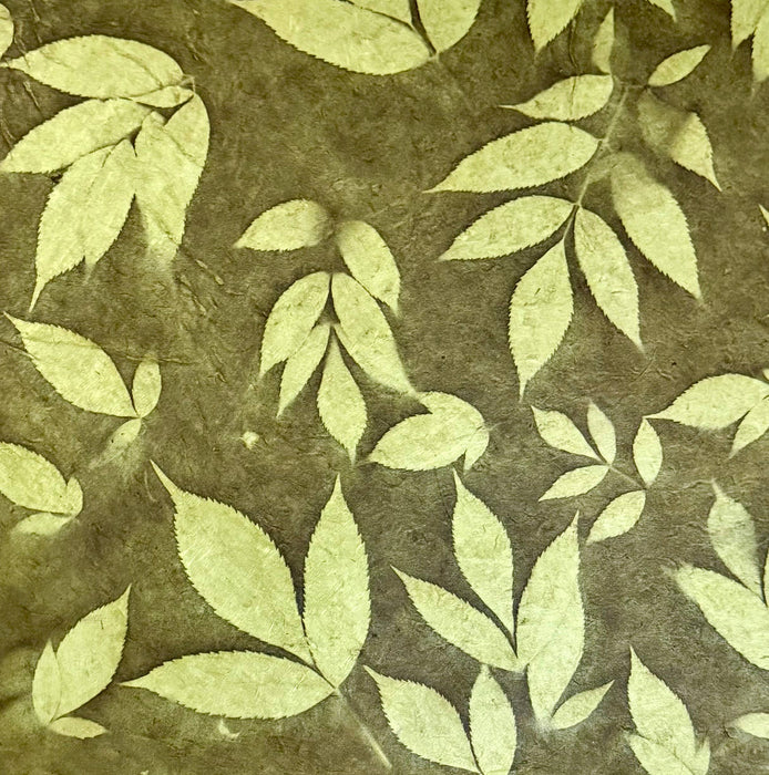 20x30 Fossil leaves paper: Brown