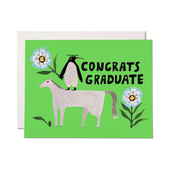 Penguin Pomp greeting card: Single
