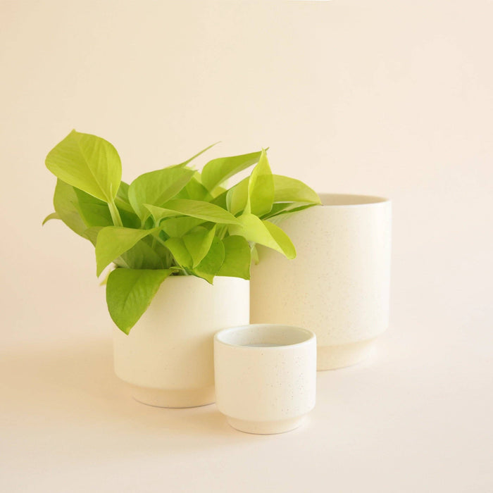 Parker Planter | Vintage White Speckle: 4.5 inch
