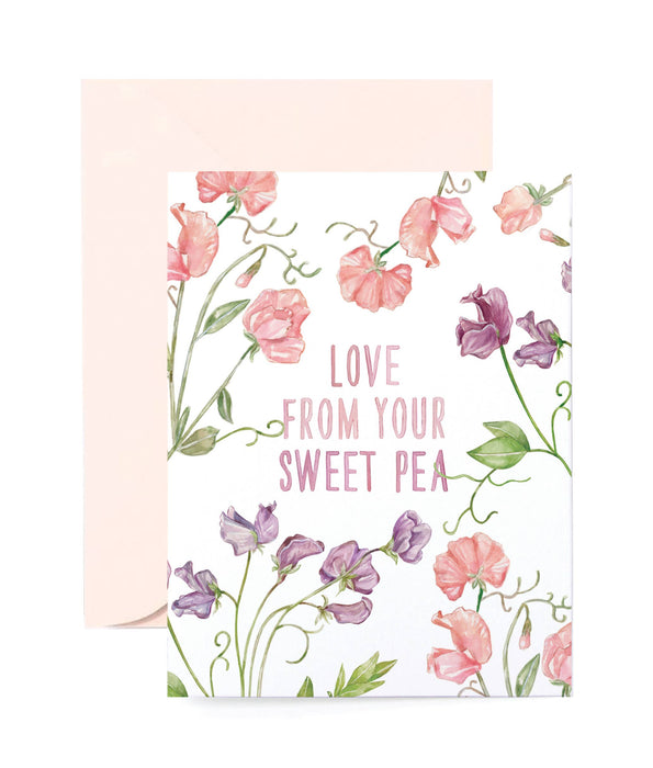 Sweet Pea