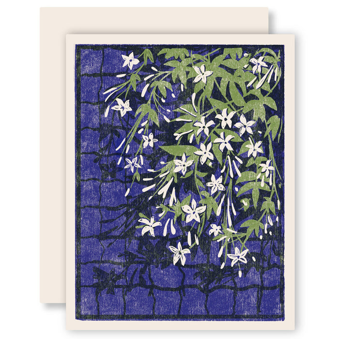 Climbing Jasmine Everyday Card - Boxed Set of Six