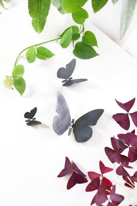 Butterfly Wall Hook - Can Hold Up to 10 Pounds: Medium