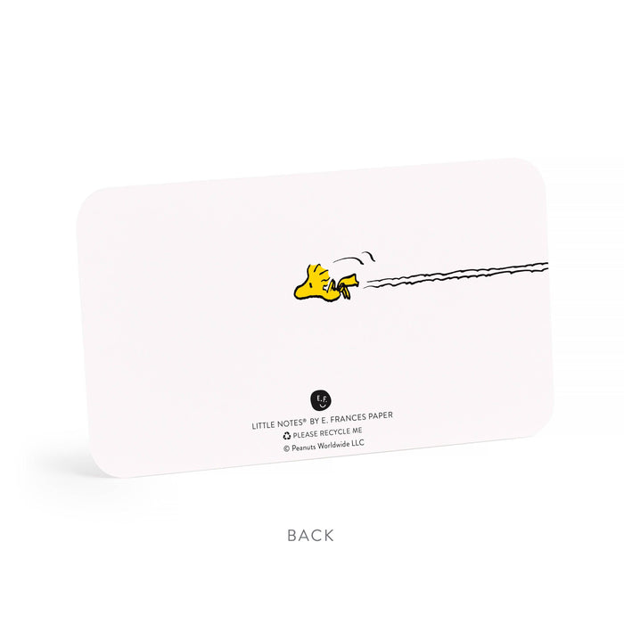 E. Frances x Peanuts® Snoopy Dog House Little Notes®