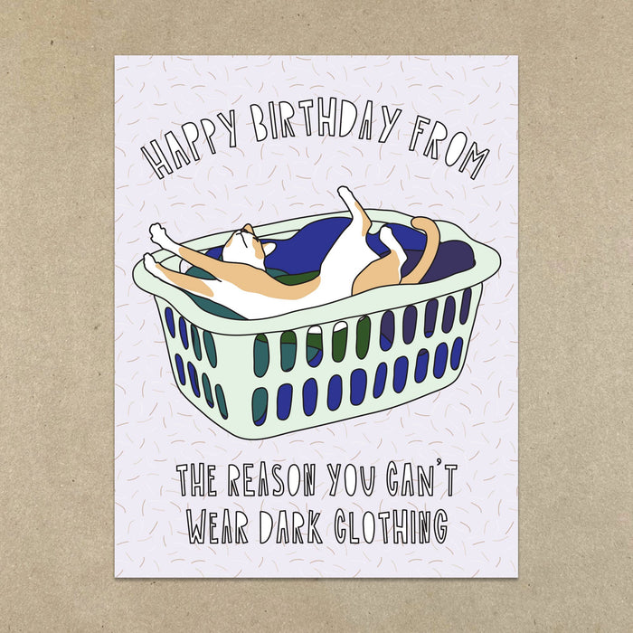 659 - Cat Hair Birthday - A2 card