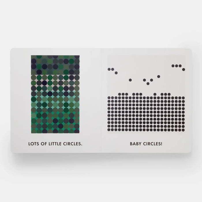Squares & Other Shapes
