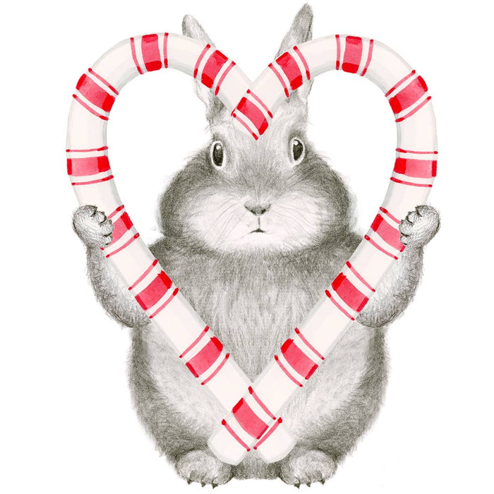 6 Pack A Sweet Hoppy Holiday