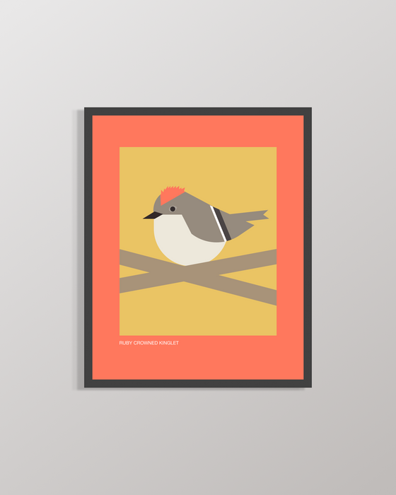 Ruby Crowned Kinglet | 8x10 Art Print