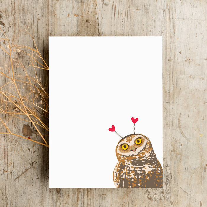 Forest Friends Blank Love Note Set