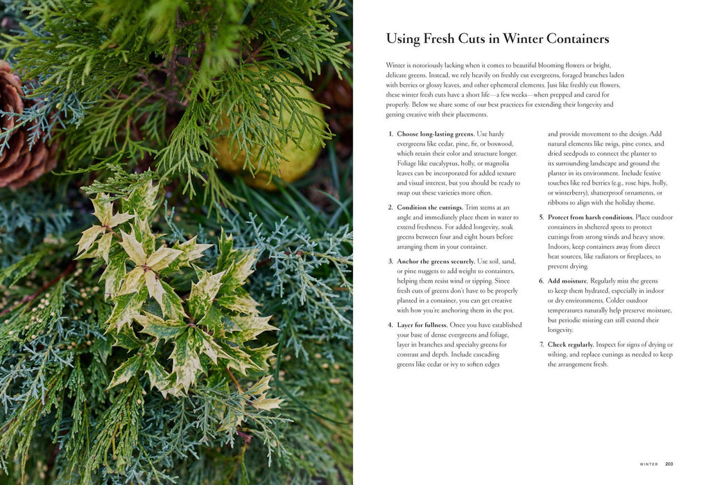 Terrain: The Container Garden Book: Paper Over Board