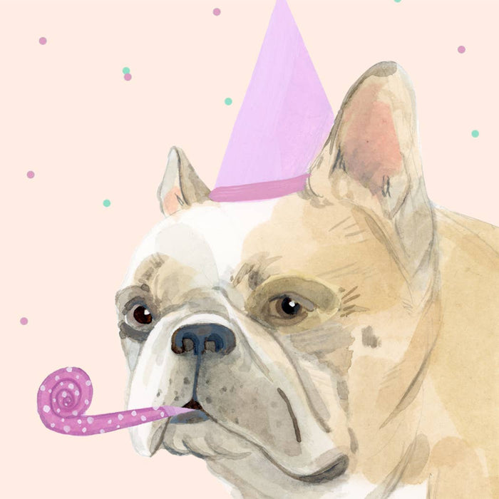 Birthday Frenchie