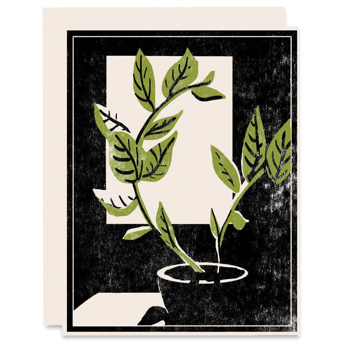 Plant By The Window Card