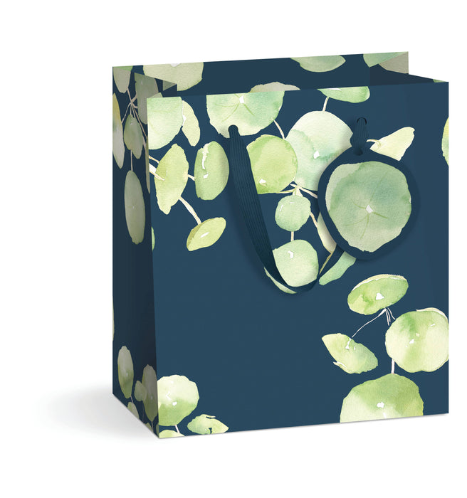 Pancake Plant Gift Bag - Medium | Pilea Plant