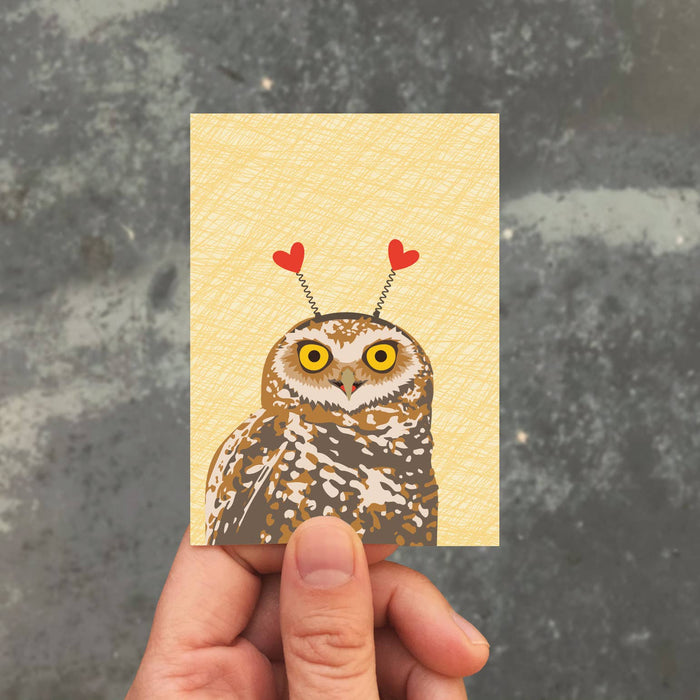 Owl Headband Folded Enclosure - Box of 8