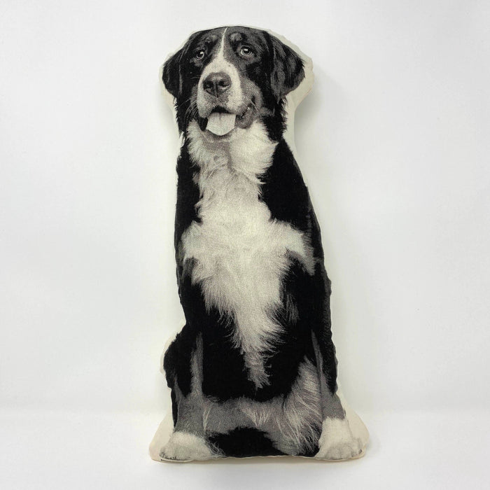 Bernese Mountain Dog Pillow