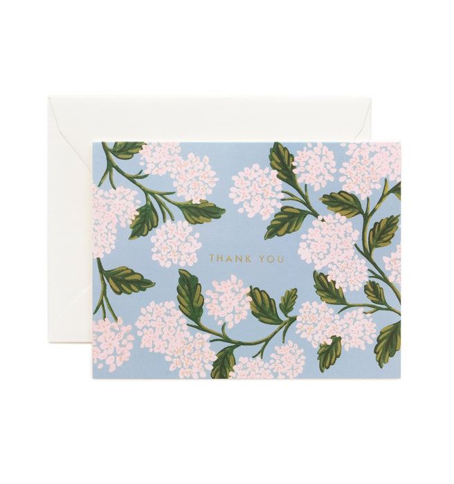 Hydrangea Thank You card, Box of 8