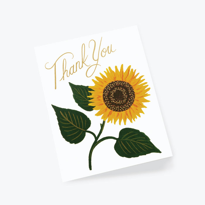 Sunflower Thank You card, Box of 8