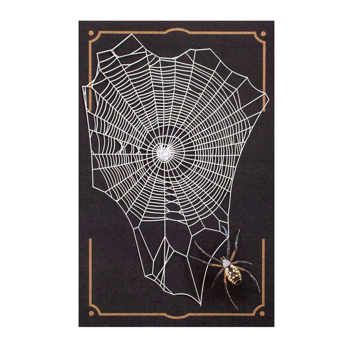 Weaver Spiderweb & Spider Paper Set