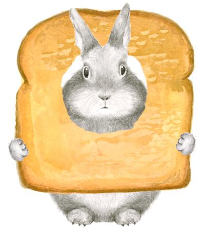 Birthday Bunny Toast Card