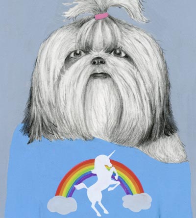 Rainbows + Unicorns Shih Tzu Card