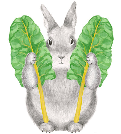 Bunny Loving You is Not Chard Card