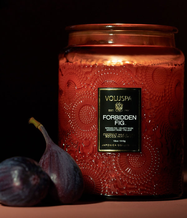 Japonica Large Jar, Forbidden Fig